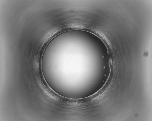 X0000094180533200711021007