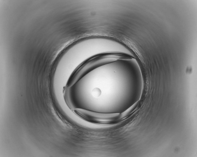 X0000094180534200711021007