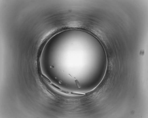 X0000094180535200711021007