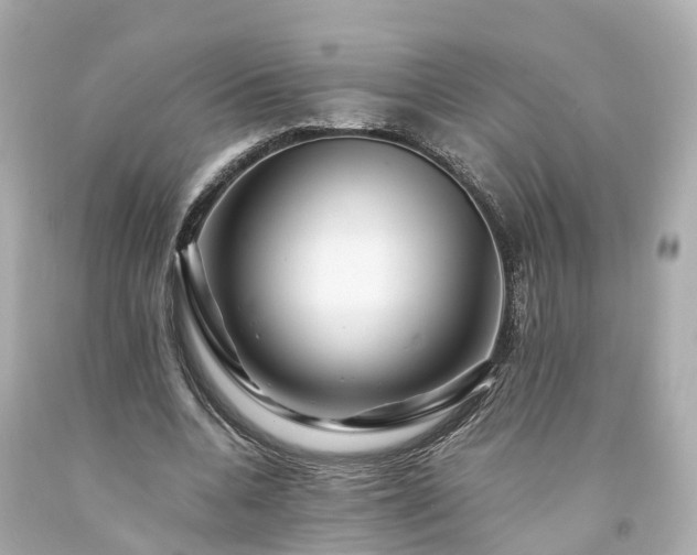 X0000094180536200711021007