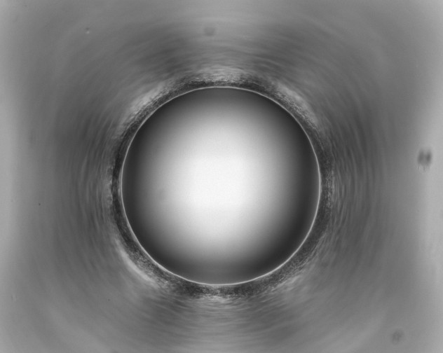 X0000094180538200711021007