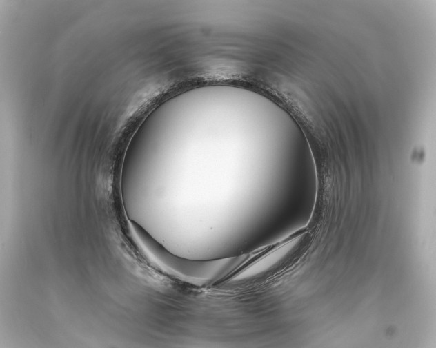 X0000094180539200711021007
