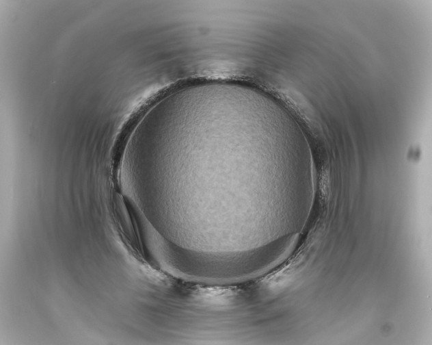 X0000094180540200711021007