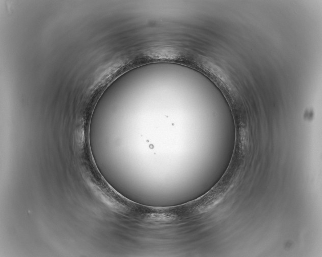 X0000094180541200711021007