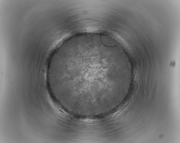 X0000094180542200711021007