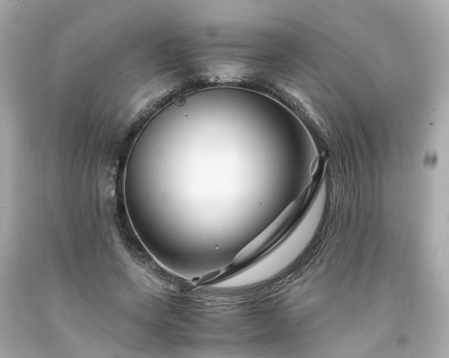 X0000094180543200711021007