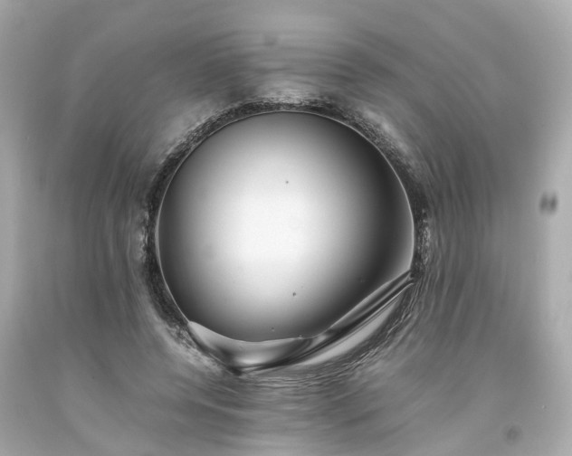 X0000094180544200711021007