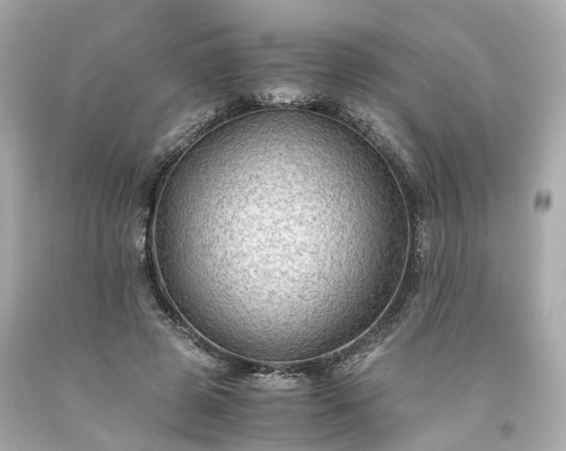 X0000094180545200711021007