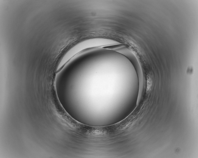 X0000094180546200711021007