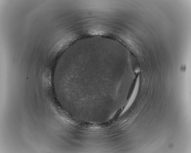 X0000094180547200711021008