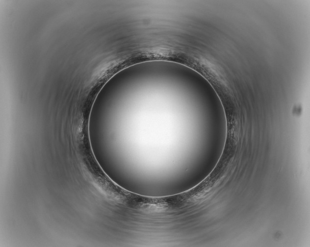 X0000094180548200711021008