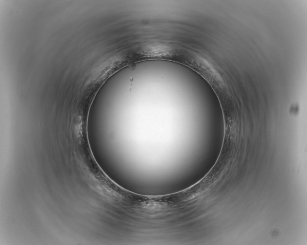X0000094180549200711021008