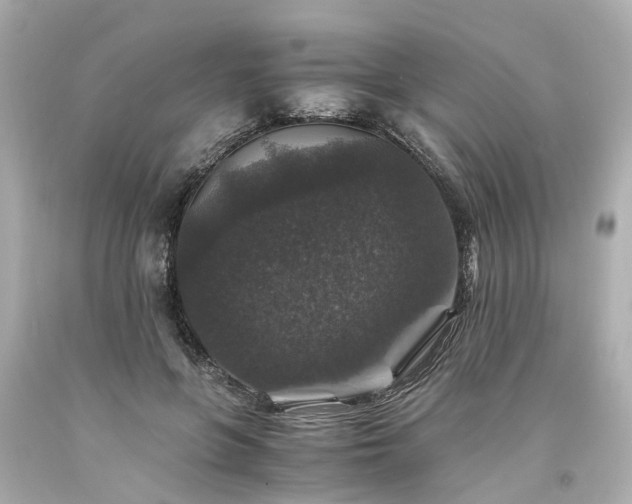 X0000094180551200711021008