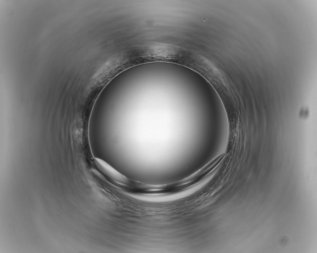X0000094180552200711021008
