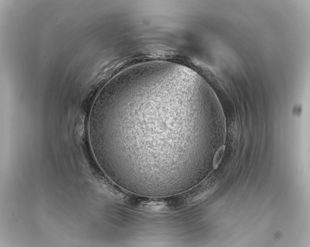 X0000094180554200711021008