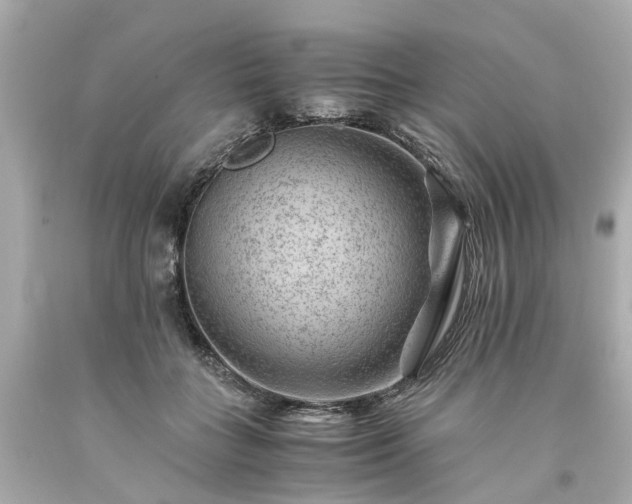 X0000094180555200711021008