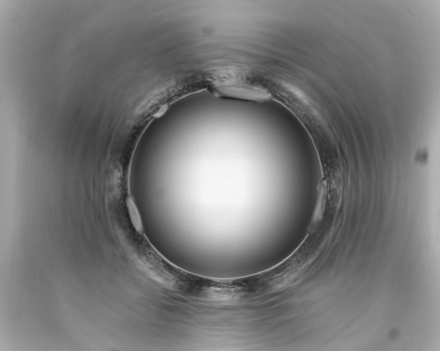 X0000094180556200711021008