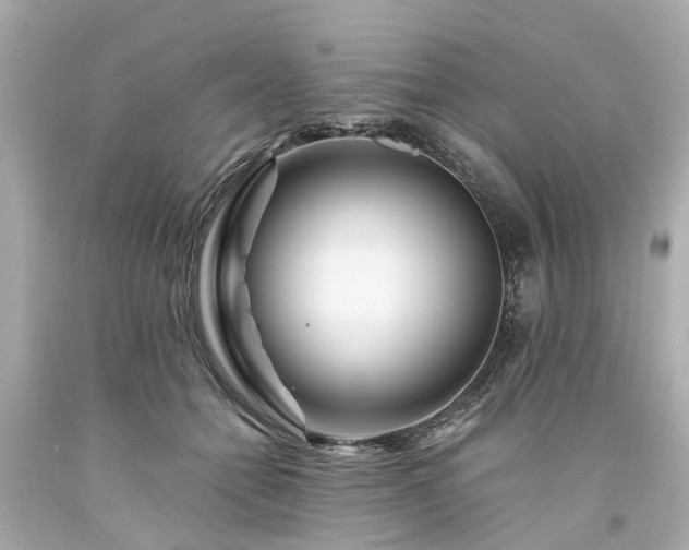 X0000094180558200711021008