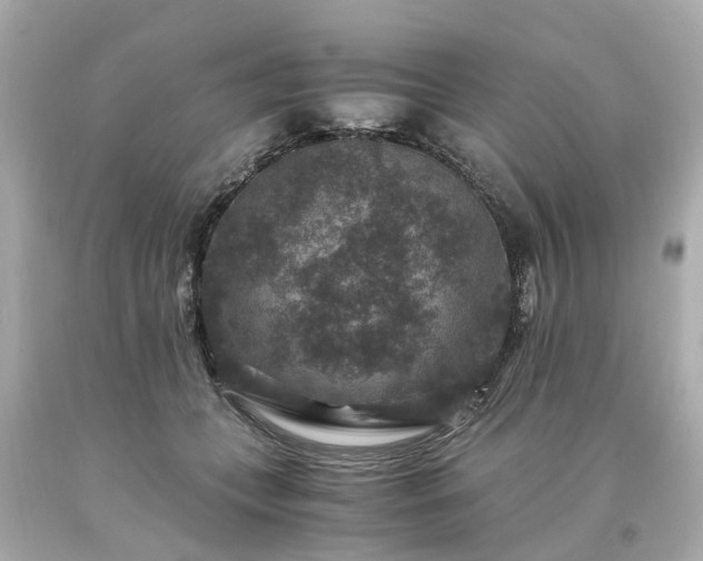 X0000094180559200711021008