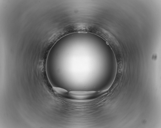 X0000094180560200711021008