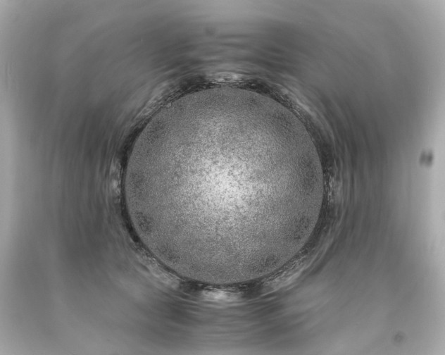 X0000094180561200711021008