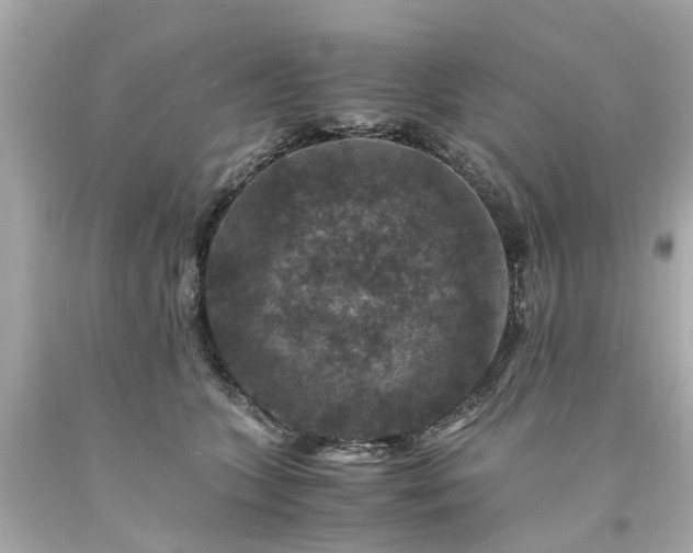 X0000094180563200711021008