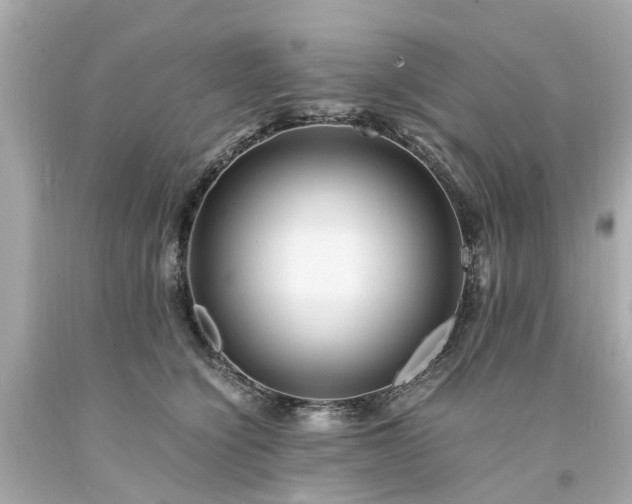 X0000094180564200711021008