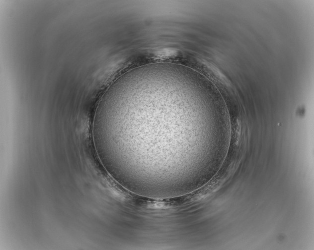 X0000094180565200711021008