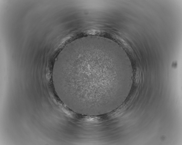 X0000094180569200711021008