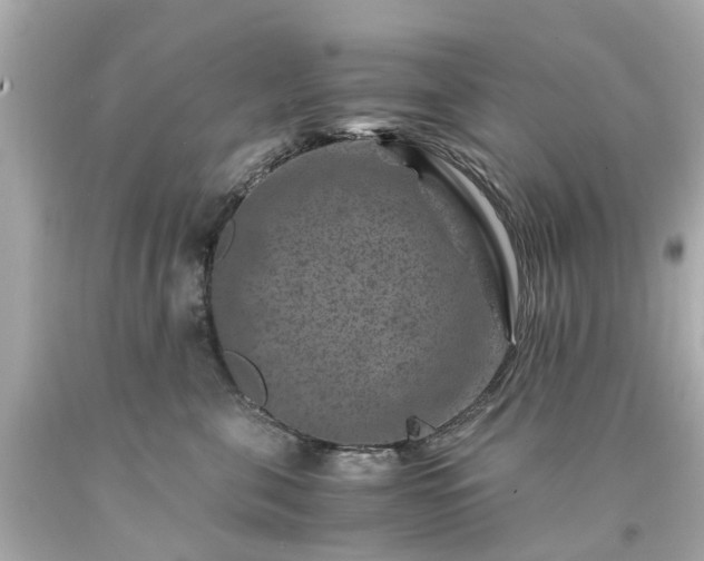X0000094180571200711021008
