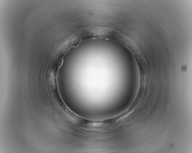 X0000094180575200711021008
