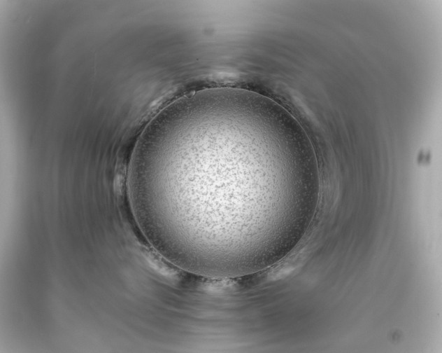 X0000094180576200711021008