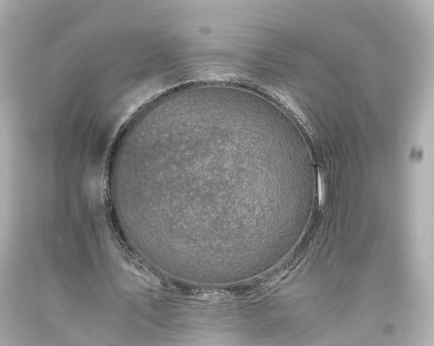 X0000094180579200711021007