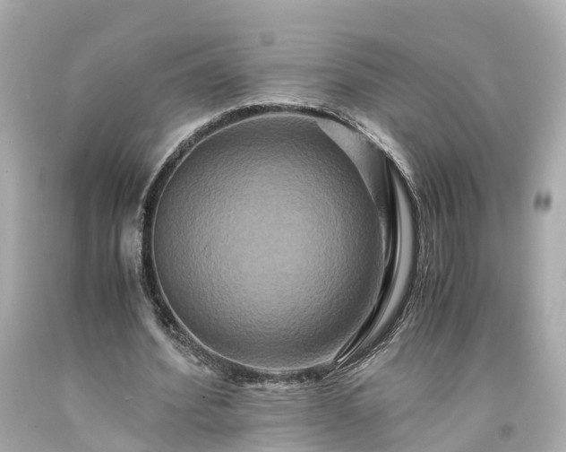 X0000094180580200711021007
