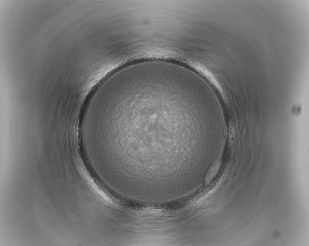 X0000094180581200711021007