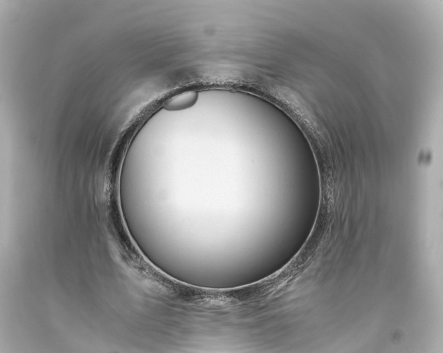 X0000094180583200711021007