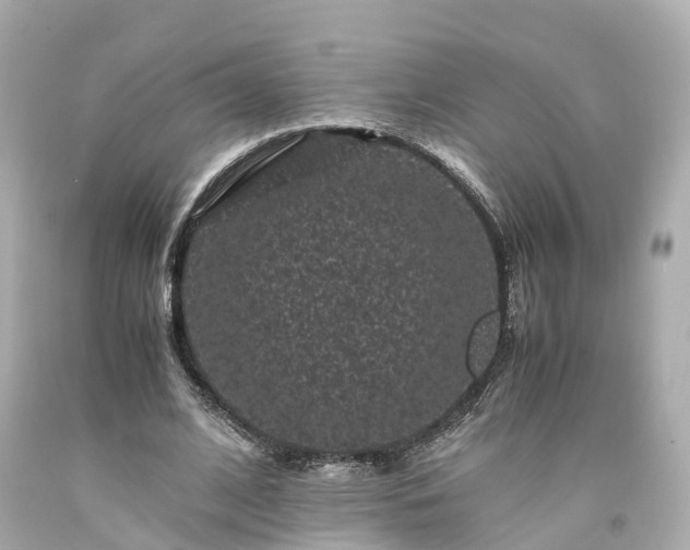 X0000094180584200711021007