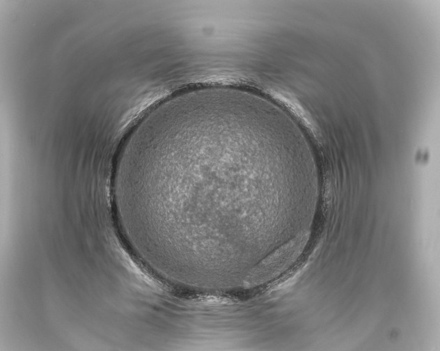 X0000094180585200711021007
