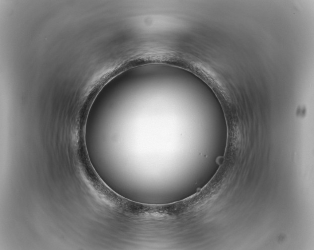 X0000094180586200711021007