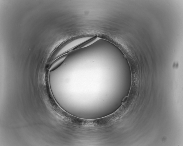 X0000094180587200711021007