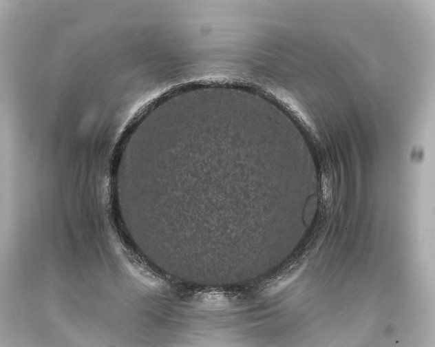 X0000094180588200711021007