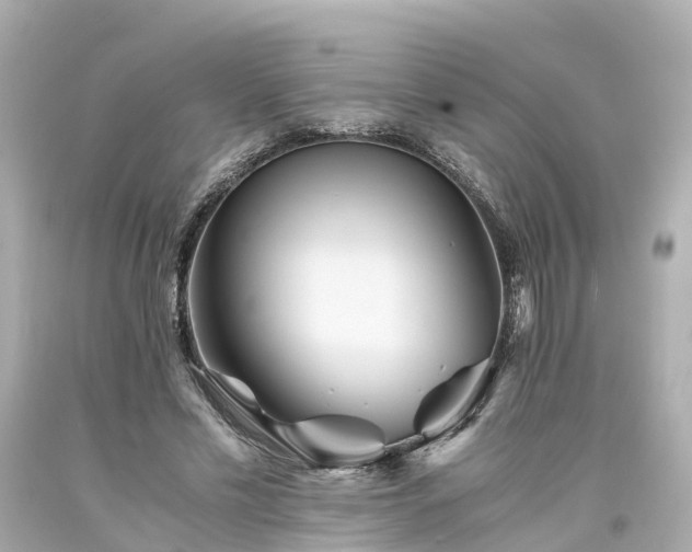 X0000094180589200711021007