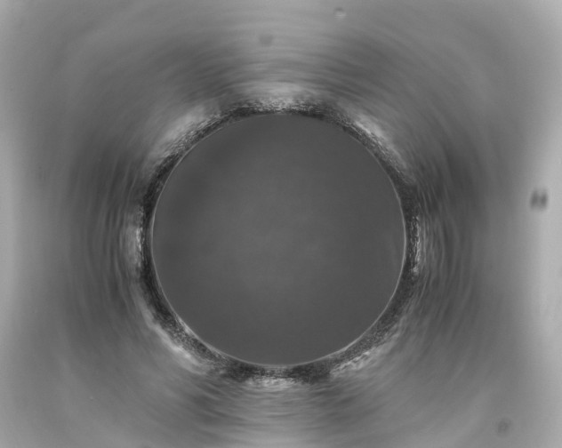 X0000094180590200711021007