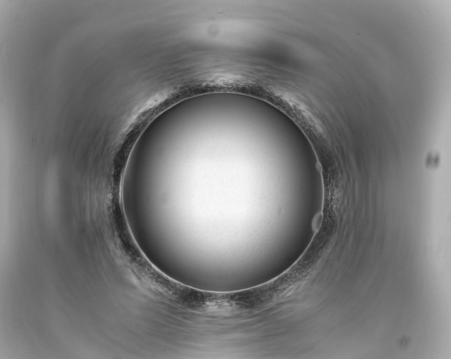X0000094180591200711021007