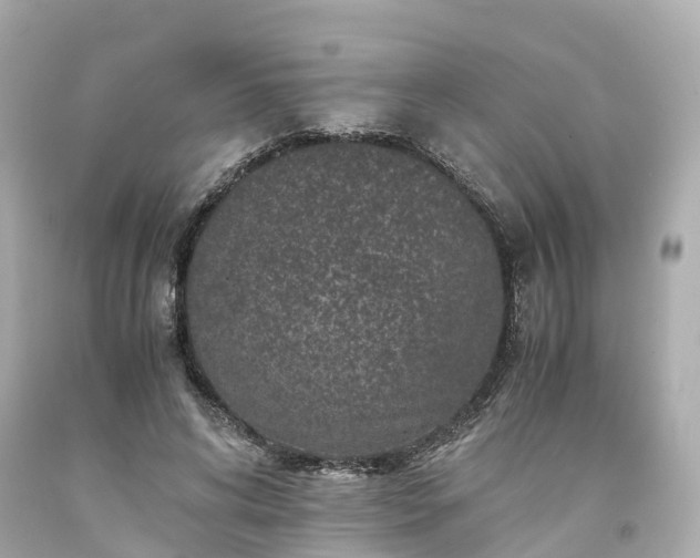 X0000094180592200711021007