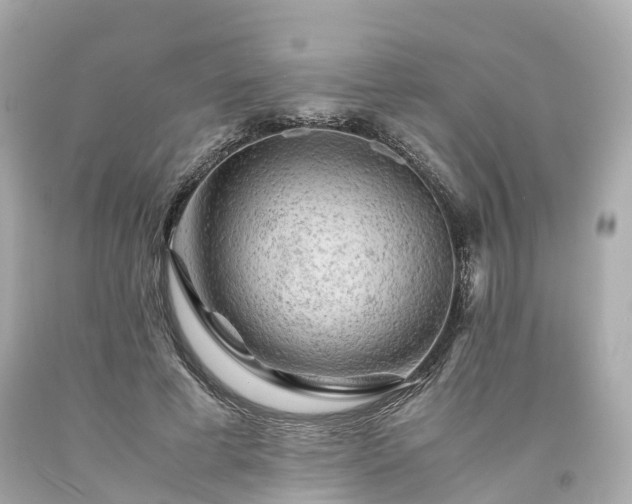 X0000094180593200711021007