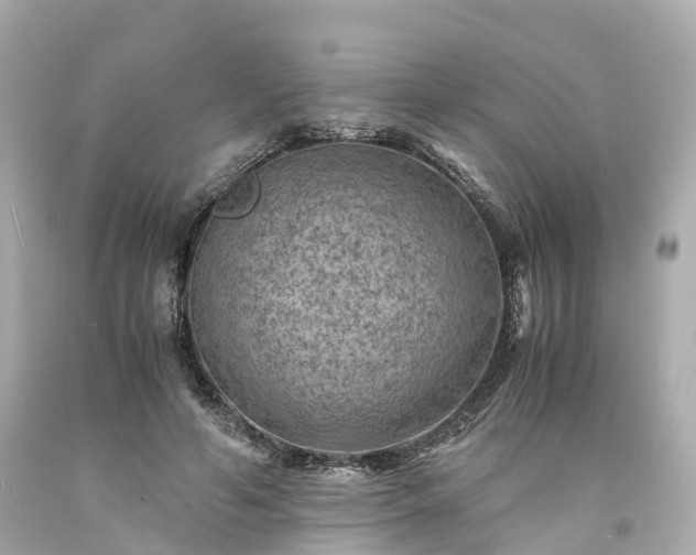 X0000094180594200711021007