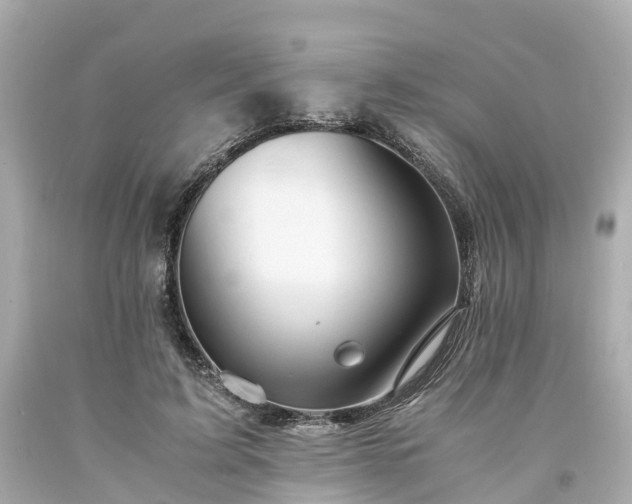 X0000094180595200711021007