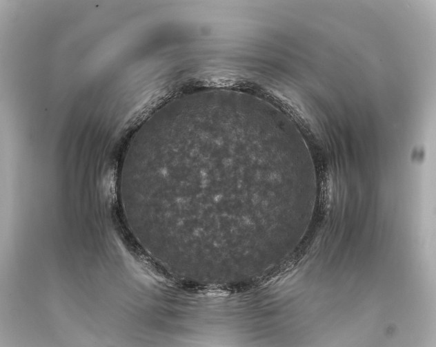 X0000094180598200711021007