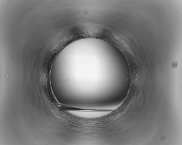 X0000094180599200711021007